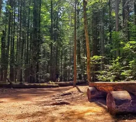 Fila Apartment Mitrovac