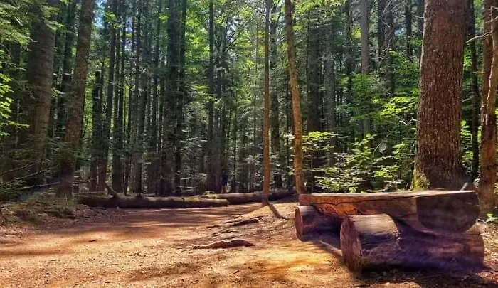 Fila Apartment Mitrovac